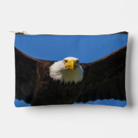 Bald Eagle Flyby Up Close