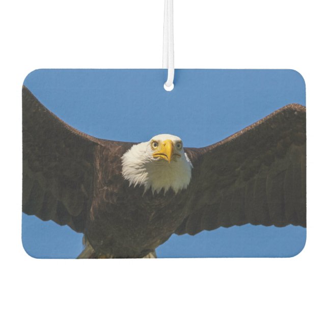 Bald Eagle Flyby Up Close Car Air Freshener (Front)