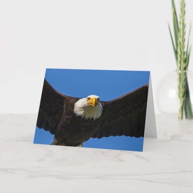 Bald Eagle Flyby Up Close Card (Front)