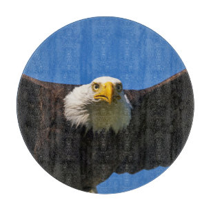 Bald Eagle Flyby Up Close Cutting Board