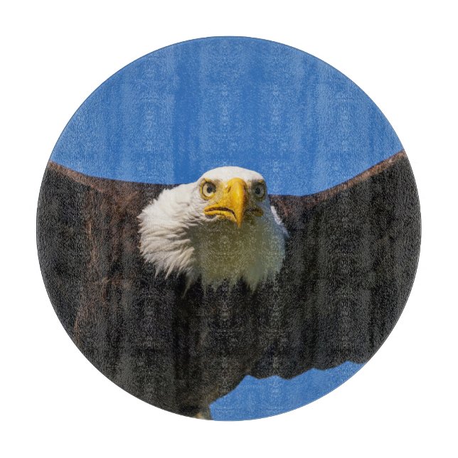 Bald Eagle Flyby Up Close Cutting Board (Front)