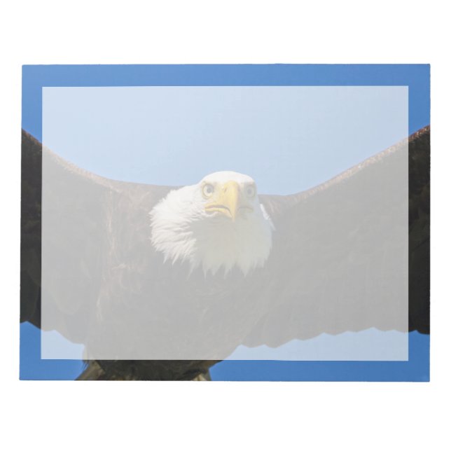 Bald Eagle Flyby Up Close Notepad (Front)
