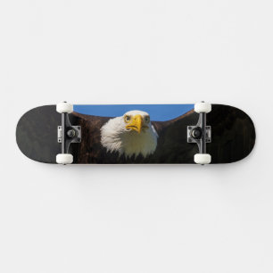 Bald Eagle Flyby Up Close Skateboard