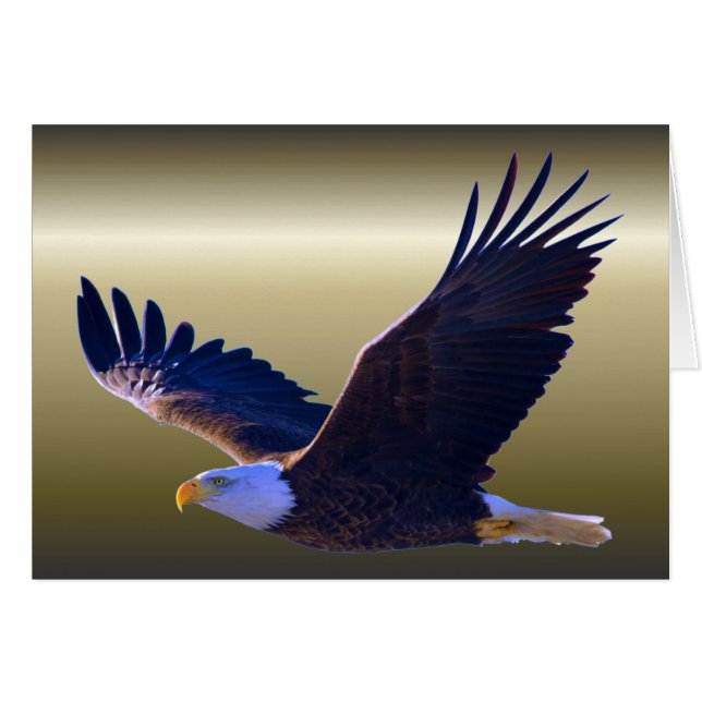 Bald Eagle Flying (Front Horizontal)