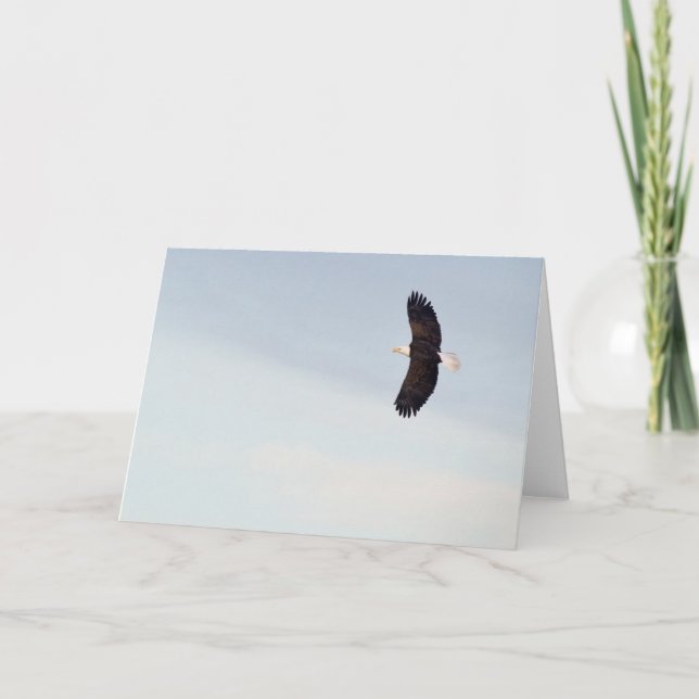 Bald Eagle flying Card (Front)