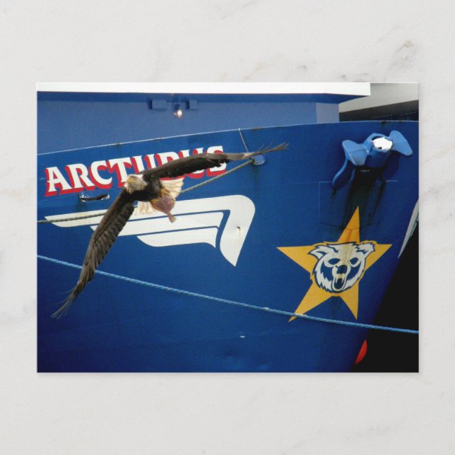 Bald Eagle flying past the F/V Arcturus Postcard (Front)