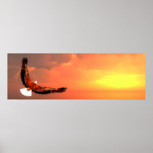 Bald eagle flying poster