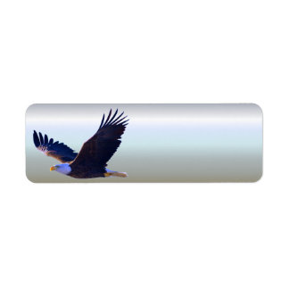 Bald Eagle Flying Return Address Label