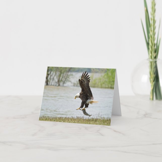 Bald Eagle Folded Card (Front)