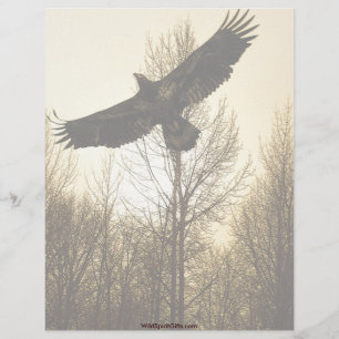 BALD EAGLE & FOREST Letterhead Design