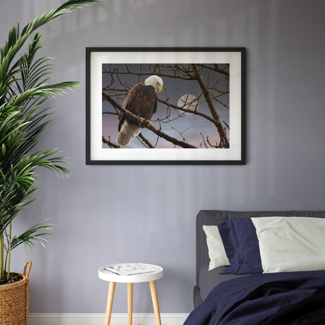 Bald Eagle Full Moon Majestic Eagles Poster (Creator Uploaded)