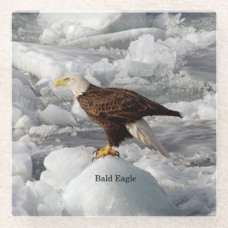 Bald Eagle glass coaster