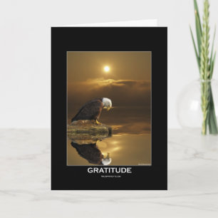 Bald Eagle GRATITUDE Series Holiday Card