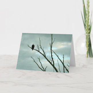 Bald eagle greeting card