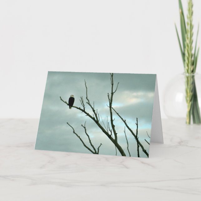 Bald eagle greeting card (Front)