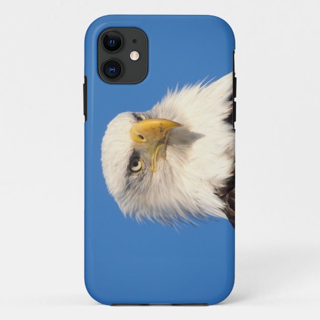 bald eagle, Haliaeetus leuccocephalus, 2 Case-Mate iPhone Case (Back)