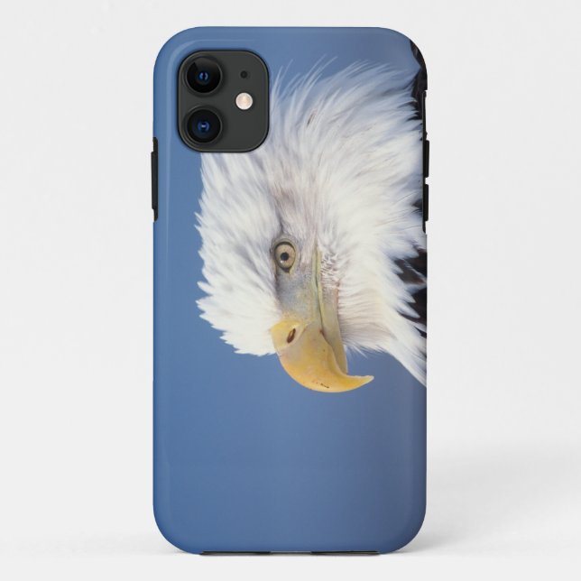 bald eagle, Haliaeetus leuccocephalus, Case-Mate iPhone Case (Back)
