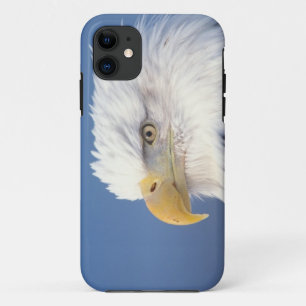bald eagle, Haliaeetus leuccocephalus, iPhone 11 Case