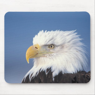 bald eagle, Haliaeetus leuccocephalus, Mouse Pad