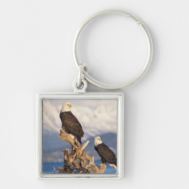 bald eagle, Haliaeetus leuccocephalus, pair Key Ring (Front)