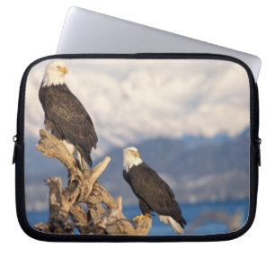 bald eagle, Haliaeetus leuccocephalus, pair Laptop Sleeve