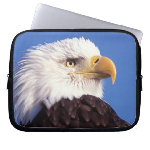 bald eagle, Haliaeetus leucocephalus, close up, 3 Laptop Sleeve