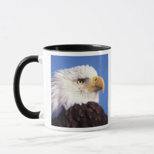 bald eagle, Haliaeetus leucocephalus, close up, 3 Mug