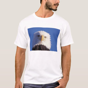 bald eagle, Haliaeetus leucocephalus, head shot, T-Shirt