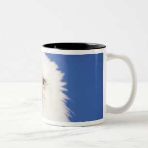 bald eagle, Haliaeetus leucocephalus, head shot, Two-Tone Coffee Mug
