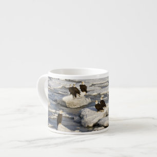 Bald Eagle, Haliaeetus leucocephalus, Homer, 2 Espresso Cup