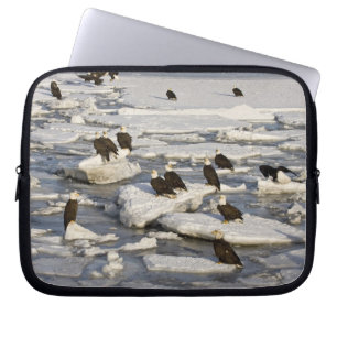 Bald Eagle, Haliaeetus leucocephalus, Homer, 2 Laptop Sleeve