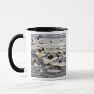 Bald Eagle, Haliaeetus leucocephalus, Homer, 2 Mug
