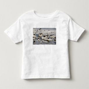 Bald Eagle, Haliaeetus leucocephalus, Homer, 2 Toddler T-Shirt