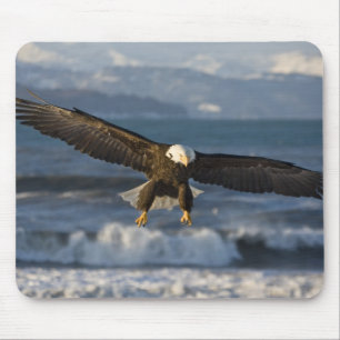 Bald Eagle, Haliaeetus leucocephalus, Homer, 3 Mouse Pad