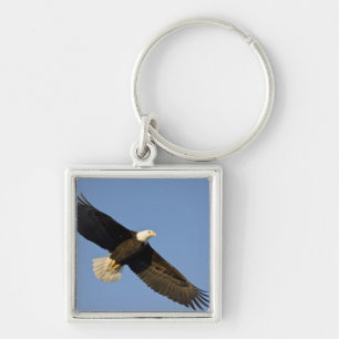 Bald Eagle, Haliaeetus leucocephalus, Homer, 4 Key Ring