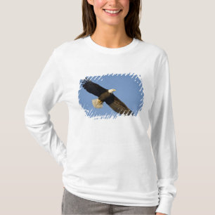 Bald Eagle, Haliaeetus leucocephalus, Homer, 4 T-Shirt
