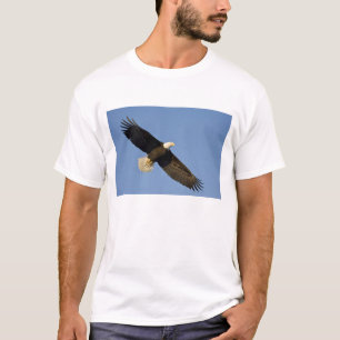 Bald Eagle, Haliaeetus leucocephalus, Homer, 4 T-Shirt