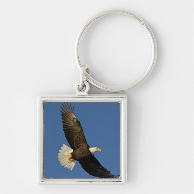 Bald Eagle, Haliaeetus leucocephalus, Homer, Key Ring (Front)