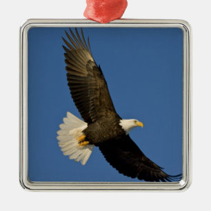 Bald Eagle, Haliaeetus leucocephalus, Homer, Metal Tree Decoration