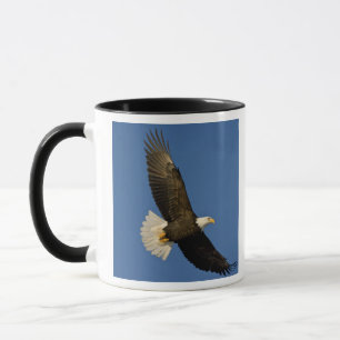 Bald Eagle, Haliaeetus leucocephalus, Homer, Mug