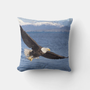 bald eagle, Haliaeetus leucocephalus, in flight 4 Cushion