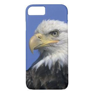 Bald Eagle, (Haliaeetus leucocephalus), wild, iPhone 8/7 Case