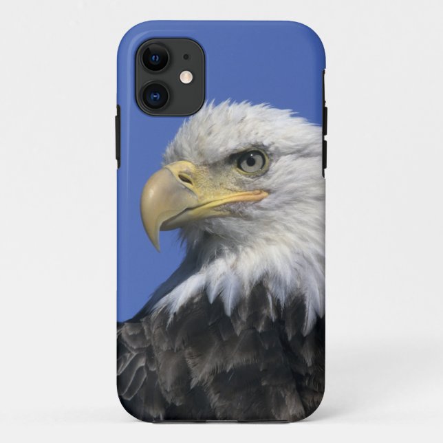 Bald Eagle, (Haliaeetus leucocephalus), wild, Case-Mate iPhone Case (Back)