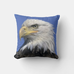 Bald Eagle, (Haliaeetus leucocephalus), wild, Cushion