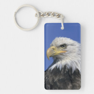 Bald Eagle, (Haliaeetus leucocephalus), wild, Key Ring