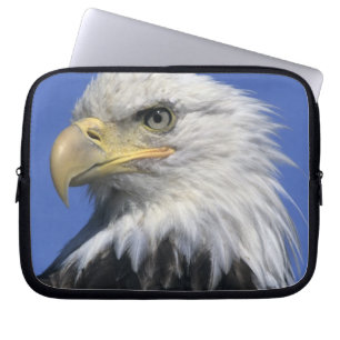 Bald Eagle, (Haliaeetus leucocephalus), wild, Laptop Sleeve