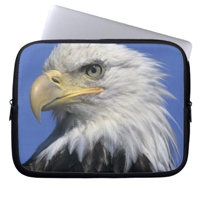 Bald Eagle, (Haliaeetus leucocephalus), wild, Laptop Sleeve (Front)