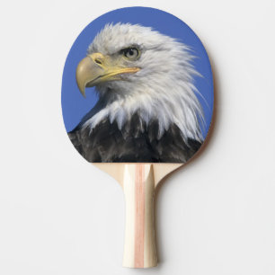 Bald Eagle, (Haliaeetus leucocephalus), wild, Ping Pong Paddle