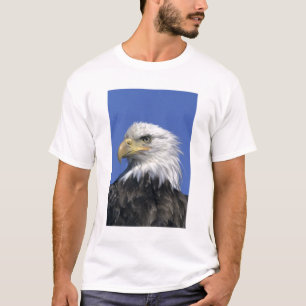 Bald Eagle, (Haliaeetus leucocephalus), wild, T-Shirt