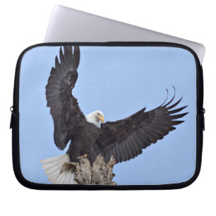 Bald Eagle (Haliaeetus leucocephalus) with wings Laptop Sleeve